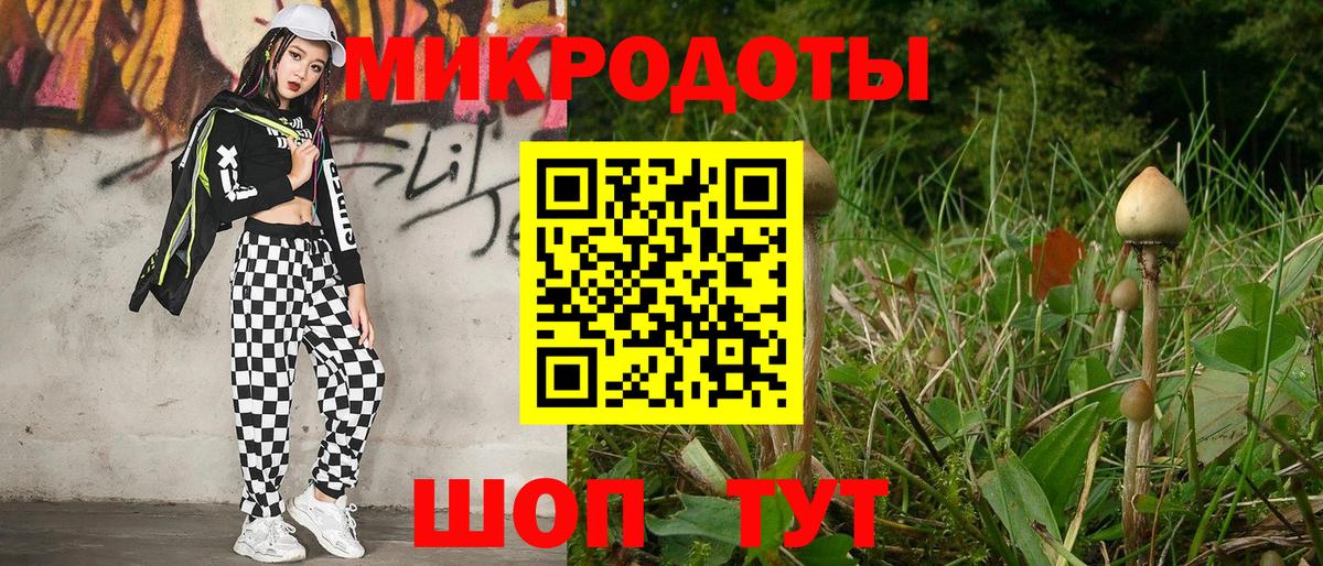 Галлюциногенные грибы MAGIC MUSHROOMS Пушкино