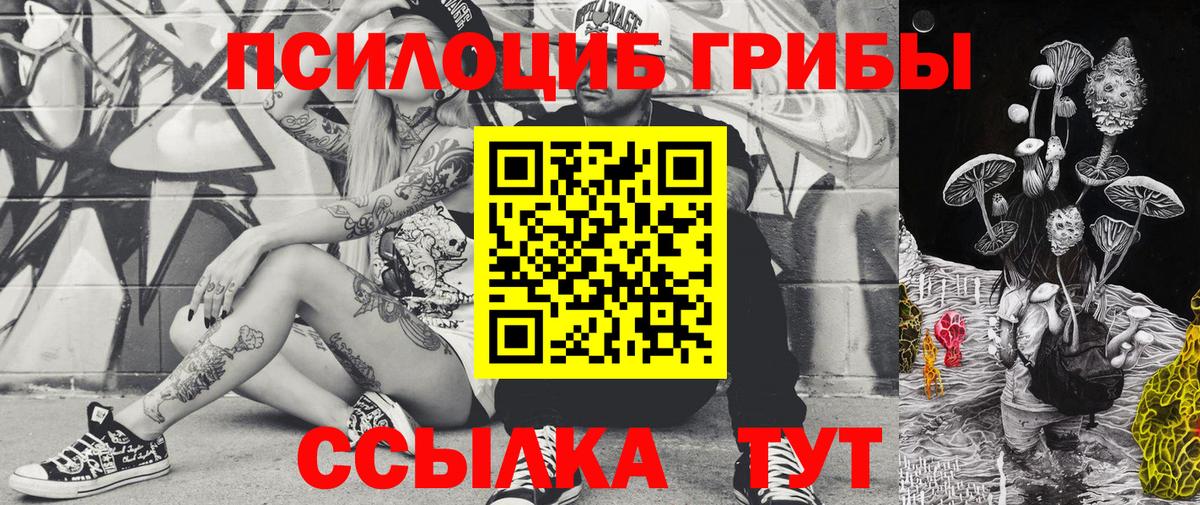 Пушкино  купить наркоту  Вход с VPN  Галлюциногенные грибы Magic Shrooms 
